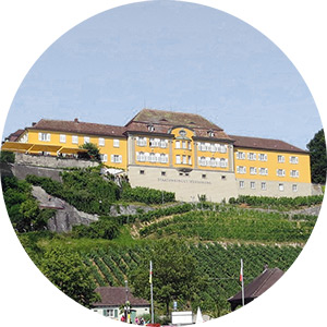 Historical building state winery Meersburg